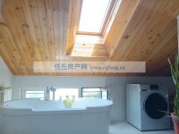 其它圖